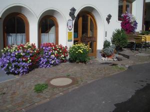 Zahrada ubytování Aparthotel Garni am Johannesbrunnen