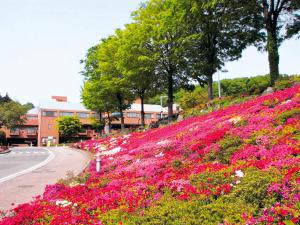 Jardín al aire libre en New Sunpia Saitama Ogose