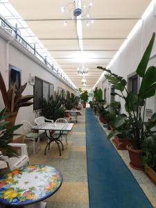 Fotografie z fotogalerie ubytování Hotel Blumentag v destinaci Paola