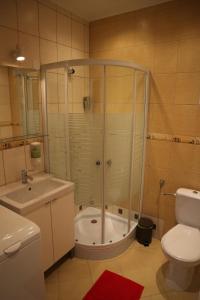 a bathroom with a shower and a toilet and a sink at Éger Apartman in Eger