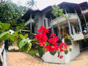 Zahrada ubytování Villa Familia
