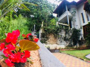 Zahrada ubytování Villa Familia