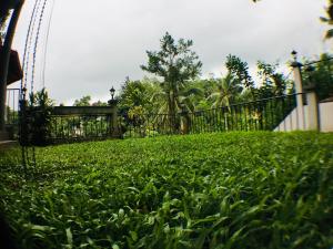 Zahrada ubytování Villa Familia