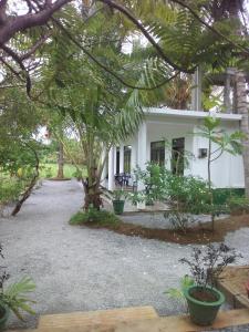 Zahrada ubytování Shady mango villa