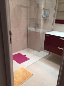 ニースにあるConstellations de Fabronのピンクの敷物を使用したシャワー付きのバスルーム