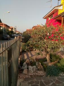 a garden with a tree next to a fence at Coccinella in Mozzo