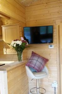 TV in/ali zabaviščno središče v nastanitvi Lochinvar - Highland Log Cabin with Private Hot Tub