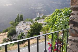 山景或在the country house看到的山景