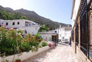 布维翁alojamiento rural la ermita bubion的花在建筑物边的街道