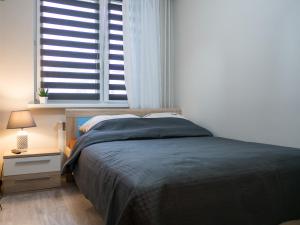 比亞韋斯托克的住宿－Żabia Flat，一间卧室设有一张大床和一个窗户。