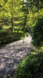 a tree lined path in a park with a swing at Cabañas Ananda in Villa Ventana