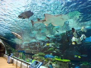 a large aquarium filled with lots of fish at Nagoya Creston Hotel in Nagoya