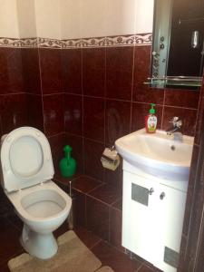 a bathroom with a toilet and a sink at Hotel Prestige in Astrakhan
