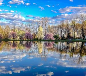 un reflejo de árboles en un lago con un cielo nublado en Appalachian Camping Resort Cottage 1, en Shartlesville