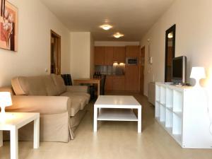 Televízia a/alebo spoločenská miestnosť v ubytovaní Apartamento Deluxe a Pie de Pista Miramar Ski