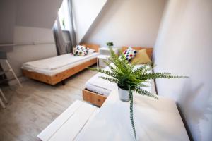 Za Murami Hostel客房内的一张或多张床位