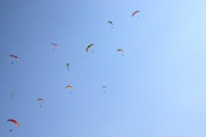 four birds flying in the sky at Gorgeous Village Guest House in Pokhara