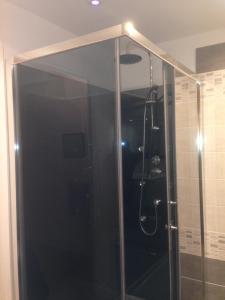 ポン・オードゥメールにあるles gites du gr224のバスルーム(ガラスドア付きのシャワー付)