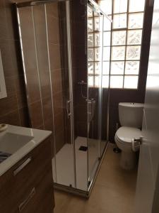 a bathroom with a toilet and a glass shower at Casa Pedrada in Zaragoza