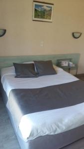 Cama o camas de una habitación en Hôtel Evian Express - Terminus