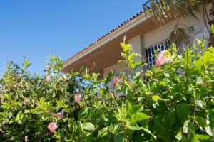 a house behind a bush with pink flowers at Sunset Beach House in Kato Alepochori