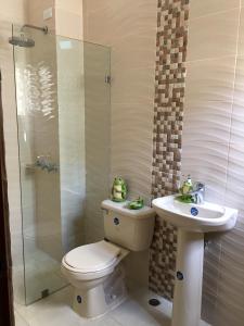 a bathroom with a toilet and a sink and a shower at Conde Santome Colonial in Santo Domingo