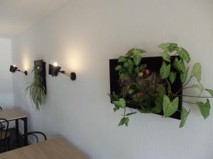 Una planta en una pared con dos luces. en Hotel Castel, en Neuves-Maisons