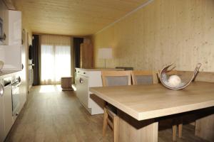 Kuchyňa alebo kuchynka v ubytovaní Premium Appartements Sonnenbahn