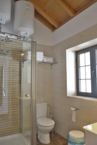 a bathroom with a toilet and a glass shower at Casa Rural Pueblos Blancos in Bornos +22 photos