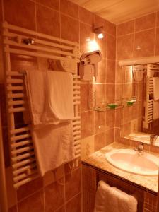 Koupelna v ubytování Hotel du Gambrinus
