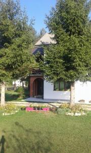 uma casa com duas árvores e um banco na relva em Rooms Danica em Donji Babin Potok