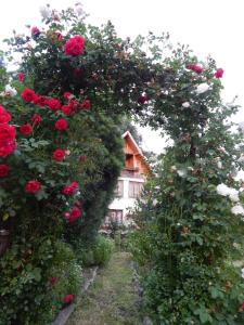 un jardín de rosas con una casa en el fondo en Pensiunea Paradis, en Borobăneşti