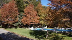 Φωτογραφία από το άλμπουμ του Cabañas Blanche Neige Wellness & SPA σε Las Trancas +37 φωτογραφίες