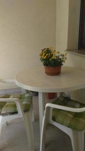 a white table with a potted plant on top of it at New Point in Zagreb