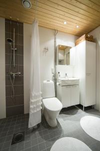 a bathroom with a toilet and a shower and a sink at Arctic Railway City Suite in Rovaniemi
