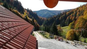 Blick auf ein Tal mit Bäumen und eine Straße in der Unterkunft Pensiunea Izbucul Tauz in Gheţari