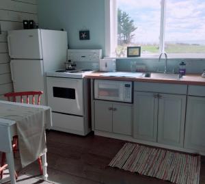 a kitchen with a sink and a white refrigerator at BlueFin Cottage in Indian Harbour