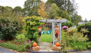 un jardin avec un kiosque avec des citrouilles dedans dans l'établissement Maple Terrace Motel, à Williamstown