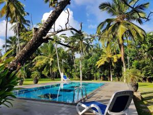 Bazén v ubytování Villa Velmarie Yoga and Ayurveda house all inclusive nebo v jeho okolí