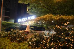 Zahrada ubytování Aurora Hotel