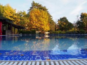 The swimming pool at or close to Spa Hotel Ata