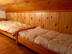 マドンナ・ディ・カンピリオにある2 Abeti Mansardaの木製の壁のドミトリールームのベッド1台分です。