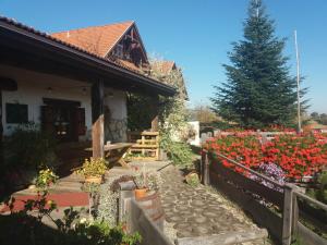 Taman di luar Pension Dreiländerblick