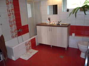a bathroom with a sink and a shower and a toilet at Venkovská pohoda s výhledem na Beskydy in Vělopolí