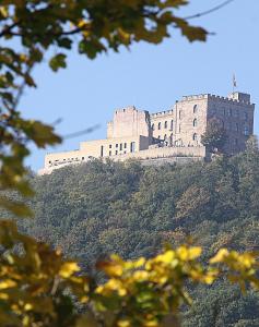 Weinstube Schwarzamsel في شباير: قلعة على قمة تلة فيها اشجار