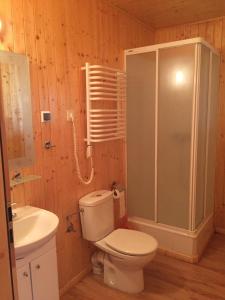 a bathroom with a toilet and a shower and a sink at Casa Rural Cuesta Grande in Pelabravo