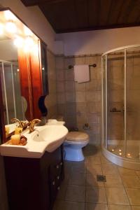 a bathroom with a toilet and a sink and a shower at Hotel Petrotechno in Tsepelovo
