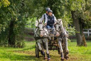 Imagen de la galería de Tmbin's barn - nature, horses, family, en Sežana