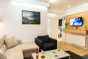 un salon avec un canapé et une chaise dans l'établissement Apartament PAJO I -Rezydencja Tatry--GROTA SOLNA--TARAS--GARAŻ PODZIEMNY, à Zakopane