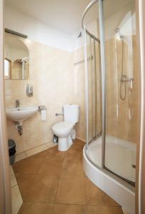 a bathroom with a toilet and a sink and a shower at Hotel i Restauracja ABIS in Bystrzyca Kłodzka